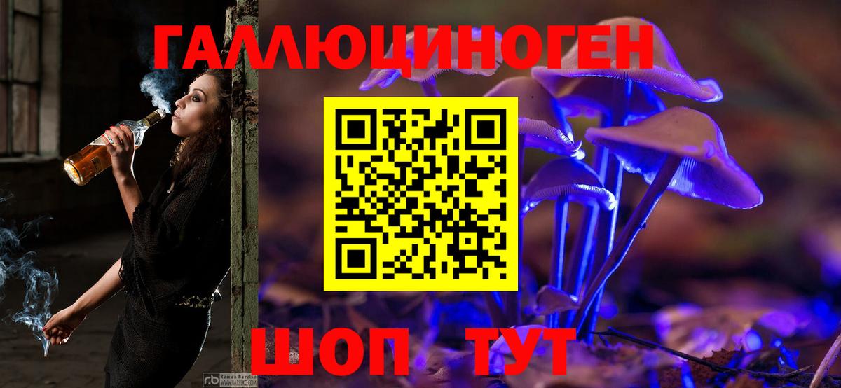 Галлюциногенные грибы Cubensis Королёв