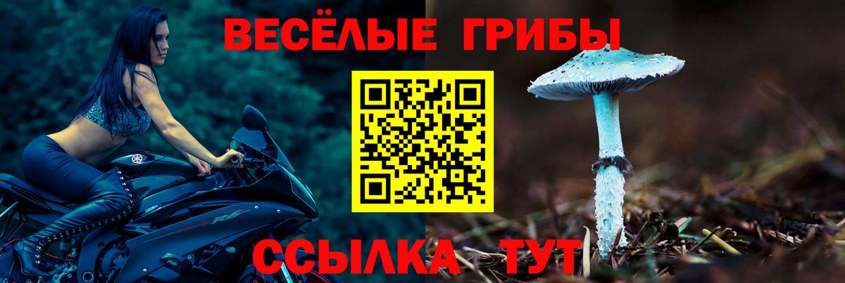 Королёв  Псилоцибиновые грибы ЛСД  Вход с VPN  Галлюциногенные грибы мухоморы 